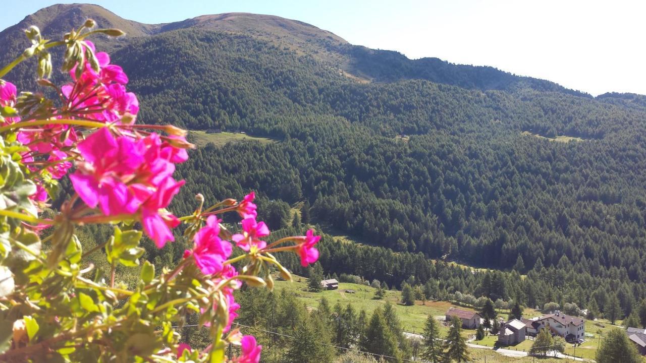 Belvedere Mountain Experience Hotel Monno Екстериор снимка