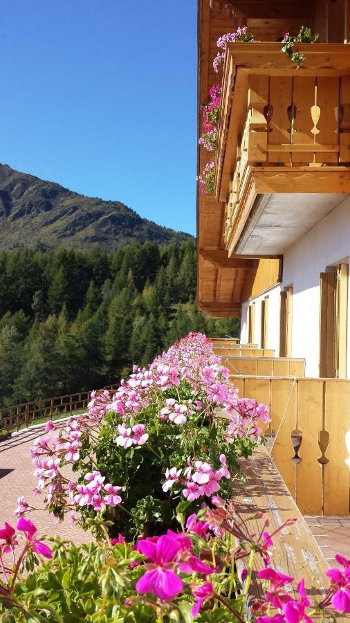 Belvedere Mountain Experience Hotel Monno Екстериор снимка